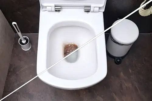 Clogged toilet plumbers near me in Brisbane